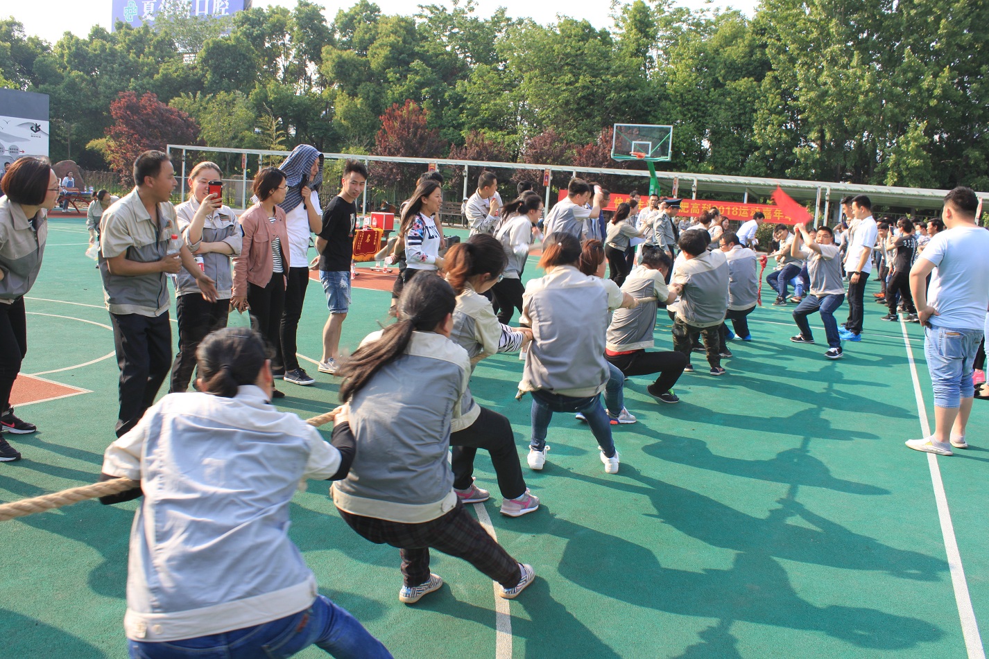 欧博abg - 官方网址登录入口